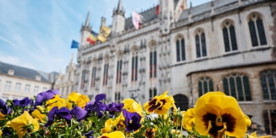 strat-com-mairie