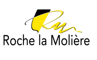 logo-rlm-Converti-01