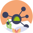 API API